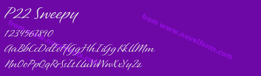 P22 SweepyPreview P22 SweepyPreview
