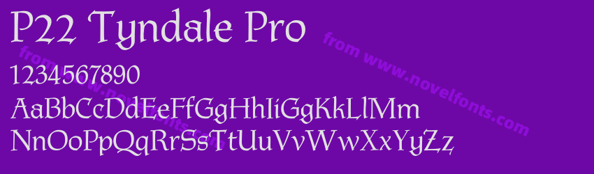 P22 Tyndale ProPreview P22 Tyndale ProPreview