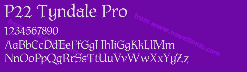 P22 Tyndale ProPreview P22 Tyndale ProPreview