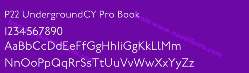 P22 UndergroundCY Pro BookPreview P22 UndergroundCY Pro BookPreview