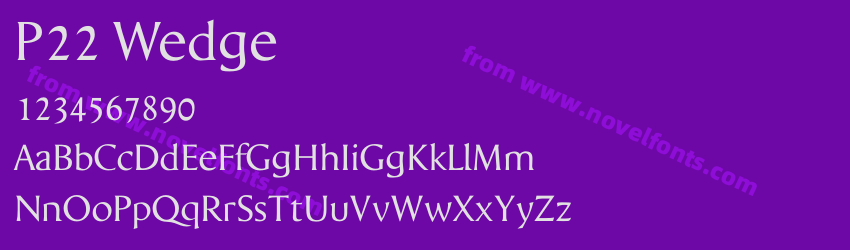 P22 WedgePreview P22 WedgePreview