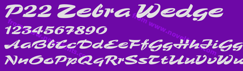 P22 Zebra WedgePreview P22 Zebra WedgePreview