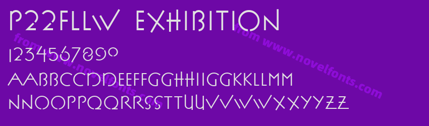 P22FLLW ExhibitionPreview P22FLLW ExhibitionPreview