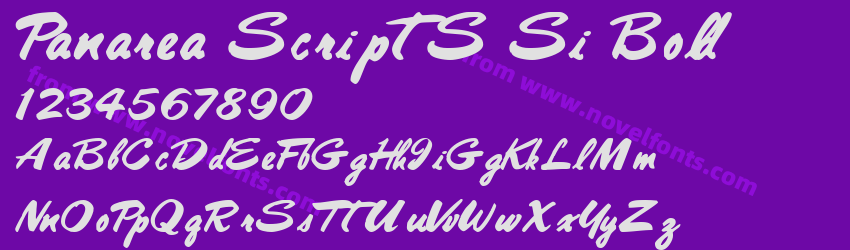 Panarea ScriptS Si BoldPreview Panarea ScriptS Si BoldPreview