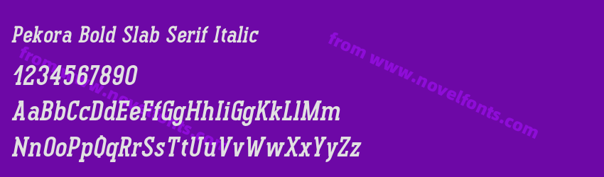 Pekora Bold Slab Serif ItalicPreview Pekora Bold Slab Serif ItalicPreview