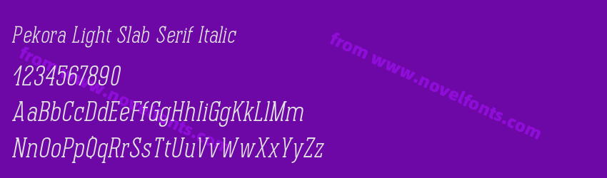 Pekora Light Slab Serif ItalicPreview Pekora Light Slab Serif ItalicPreview