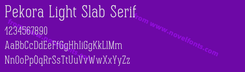 Pekora Light Slab SerifPreview Pekora Light Slab SerifPreview