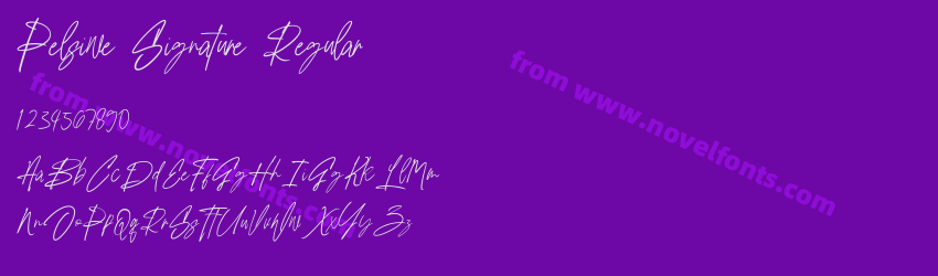 Pelsiwe Signature RegularPreview Pelsiwe Signature RegularPreview