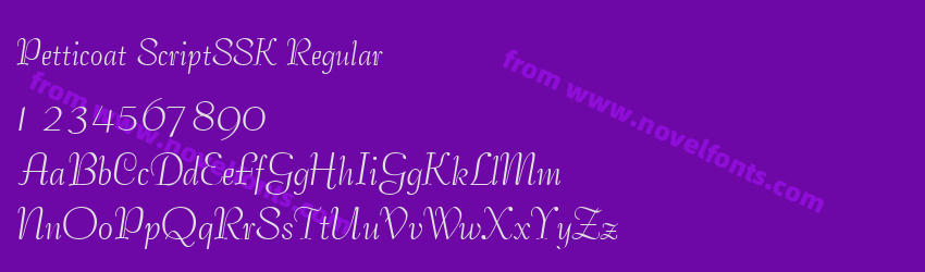 Petticoat ScriptSSK RegularPreview Petticoat ScriptSSK RegularPreview