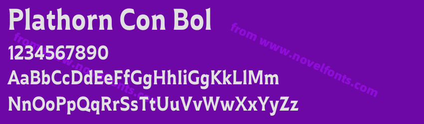 Plathorn Con BolPreview Plathorn Con BolPreview