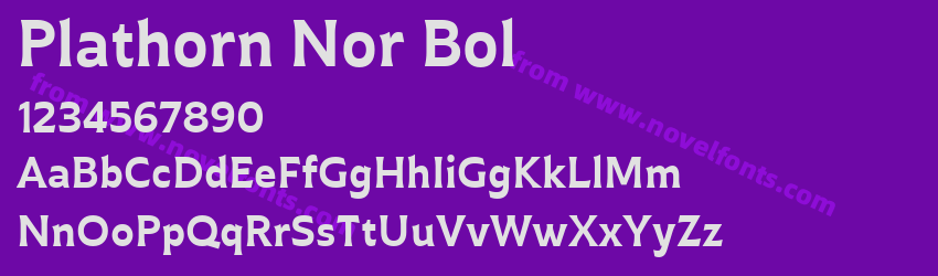 Plathorn Nor BolPreview Plathorn Nor BolPreview