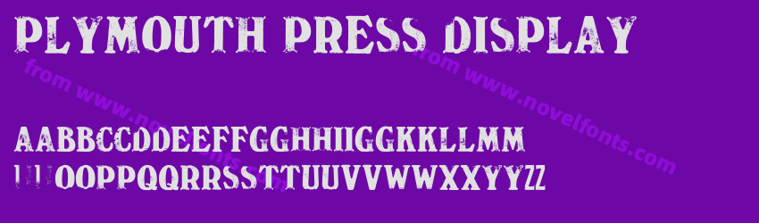 Plymouth Press DisplayPreview Plymouth Press DisplayPreview