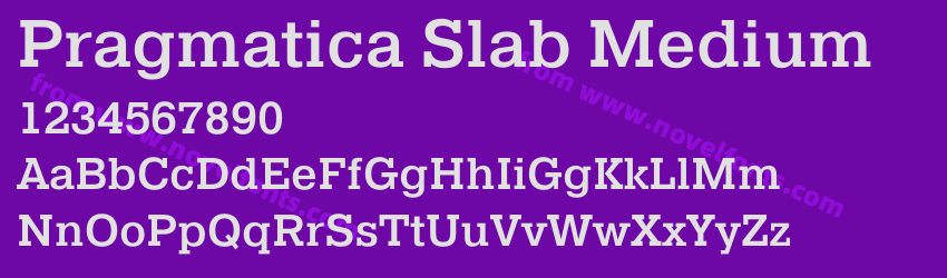 Pragmatica Slab MediumPreview Pragmatica Slab MediumPreview