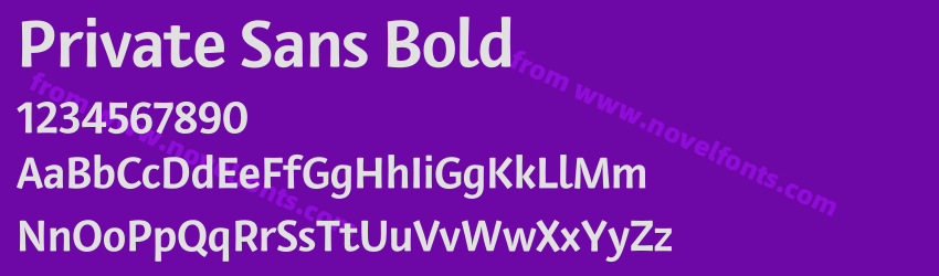 Private Sans BoldPreview Private Sans BoldPreview