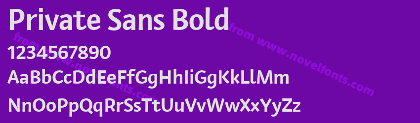 Private Sans BoldPreview Private Sans BoldPreview
