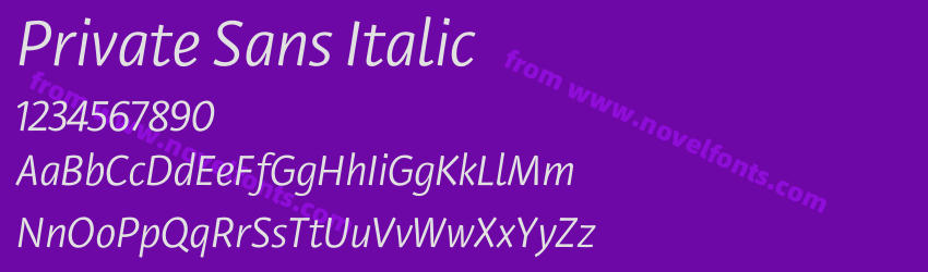 Private Sans ItalicPreview Private Sans ItalicPreview