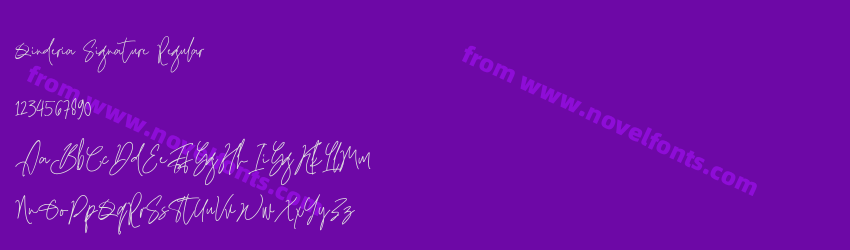 Qinderia Signature RegularPreview Qinderia Signature RegularPreview