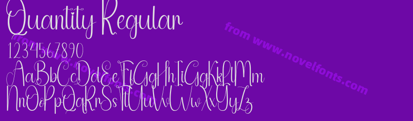 Quantity RegularPreview Quantity RegularPreview