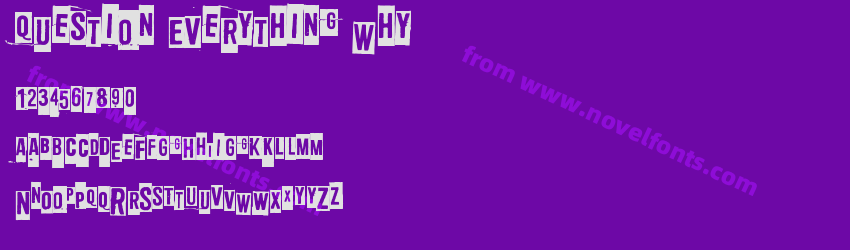 Question Everything WhyPreview Question Everything WhyPreview