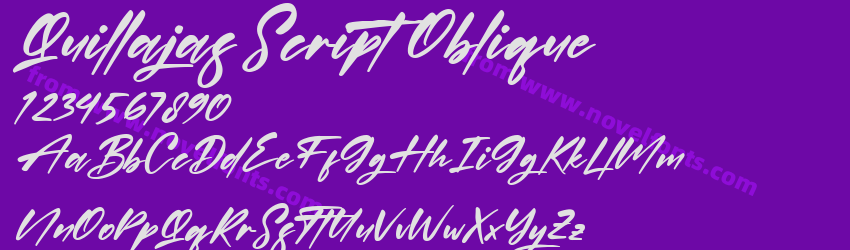 Quillajas Script ObliquePreview Quillajas Script ObliquePreview