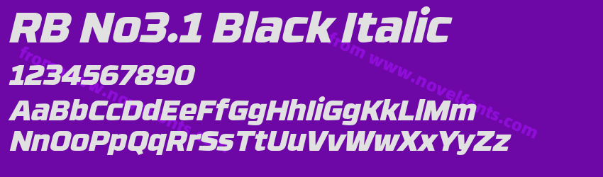 RB No3.1 Black ItalicPreview RB No3.1 Black ItalicPreview