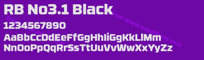 RB No3.1 BlackPreview RB No3.1 BlackPreview