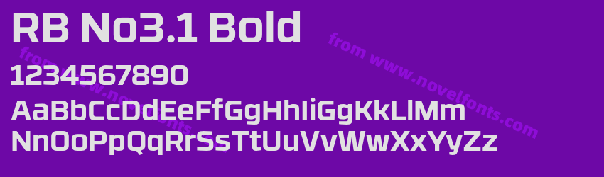 RB No3.1 BoldPreview RB No3.1 BoldPreview