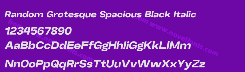 Random Grotesque Spacious Black ItalicPreview Random Grotesque Spacious Black ItalicPreview