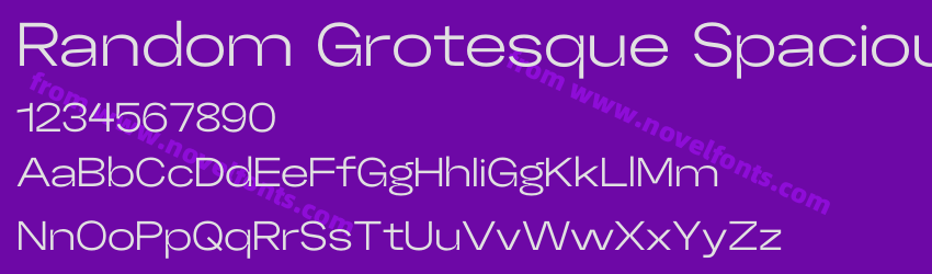 Random Grotesque SpaciousPreview Random Grotesque SpaciousPreview