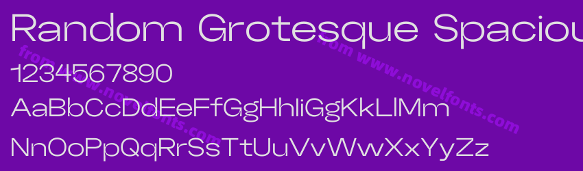 Random Grotesque SpaciousPreview Random Grotesque SpaciousPreview