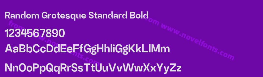 Random Grotesque Standard BoldPreview Random Grotesque Standard BoldPreview