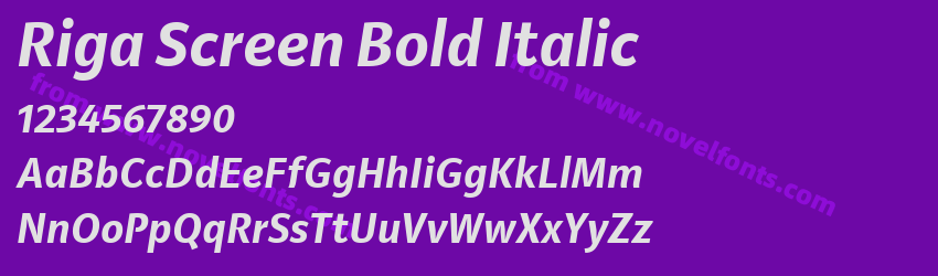 Riga Screen Bold ItalicPreview Riga Screen Bold ItalicPreview