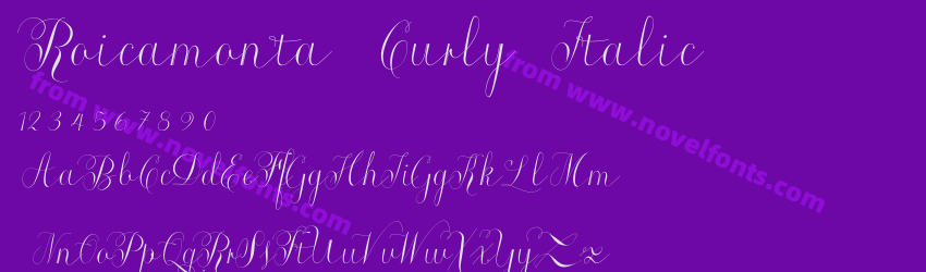 Roicamonta Curly ItalicPreview Roicamonta Curly ItalicPreview