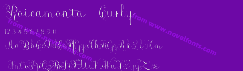 Roicamonta CurlyPreview Roicamonta CurlyPreview