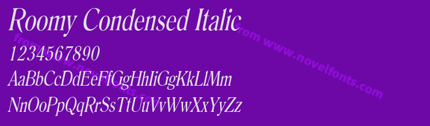 Roomy Condensed ItalicPreview Roomy Condensed ItalicPreview