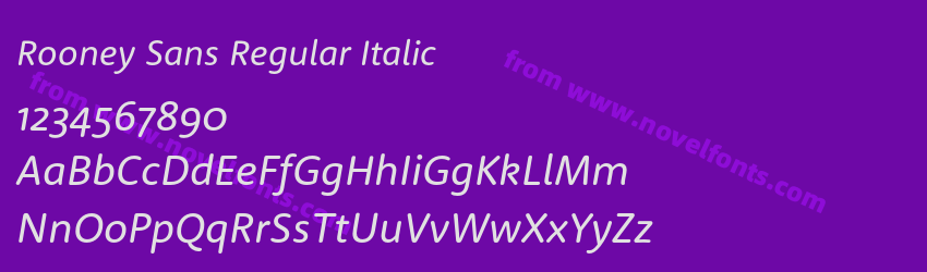 Rooney Sans Regular ItalicPreview Rooney Sans Regular ItalicPreview