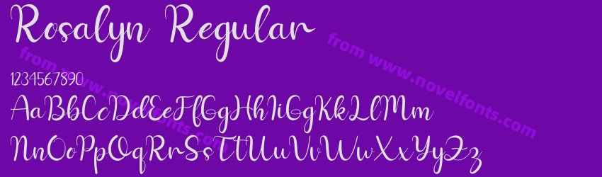 Rosalyn RegularPreview Rosalyn RegularPreview