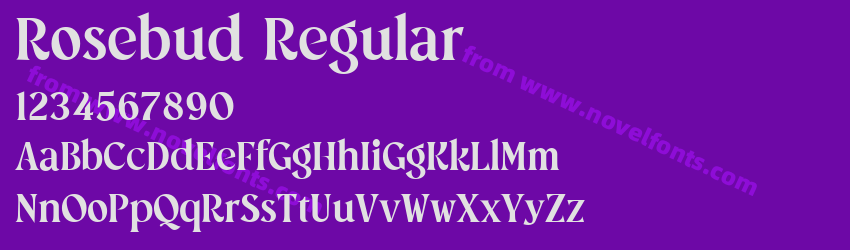 Rosebud RegularPreview Rosebud RegularPreview