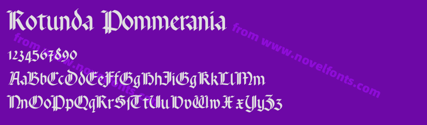 Rotunda PommeraniaPreview Rotunda PommeraniaPreview