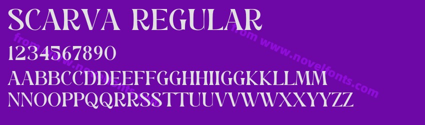 SCARVA RegularPreview SCARVA RegularPreview