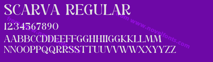 SCARVA RegularPreview SCARVA RegularPreview