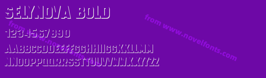 SELYNOVA BoldPreview SELYNOVA BoldPreview