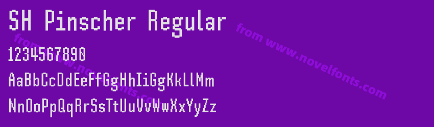 SH Pinscher RegularPreview SH Pinscher RegularPreview