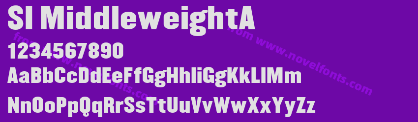 SI MiddleweightAPreview SI MiddleweightAPreview