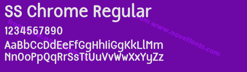 SS Chrome RegularPreview SS Chrome RegularPreview