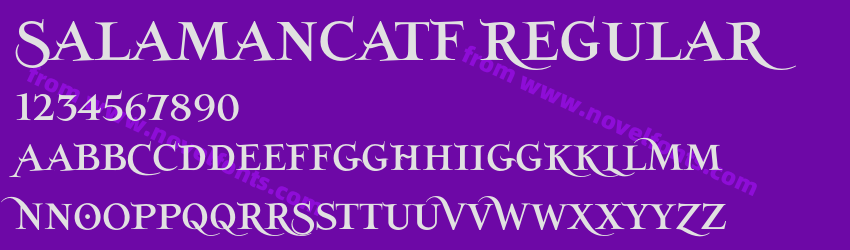 SalamancaTF RegularPreview SalamancaTF RegularPreview