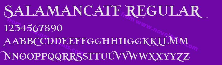 SalamancaTF RegularPreview SalamancaTF RegularPreview