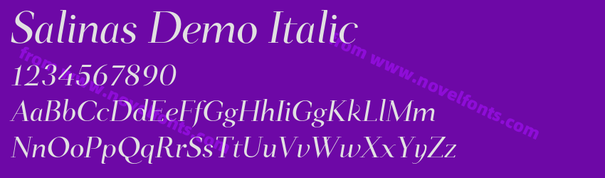 Salinas Demo ItalicPreview Salinas Demo ItalicPreview