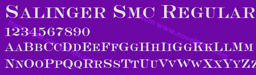 Salinger Smc RegularPreview Salinger Smc RegularPreview