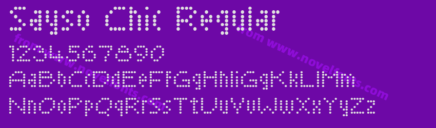 Sayso Chic RegularPreview Sayso Chic RegularPreview